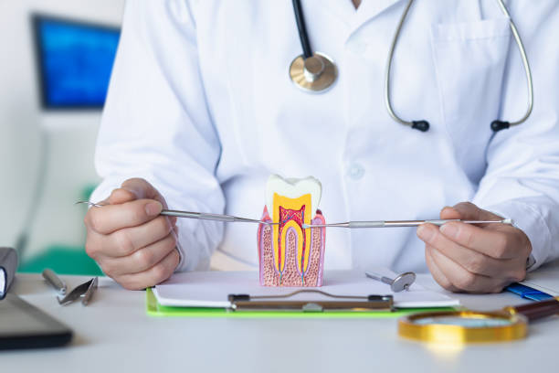 Reliable CA Emergency Dental Service Solutions